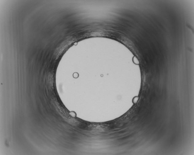 X0000101650297200807100946