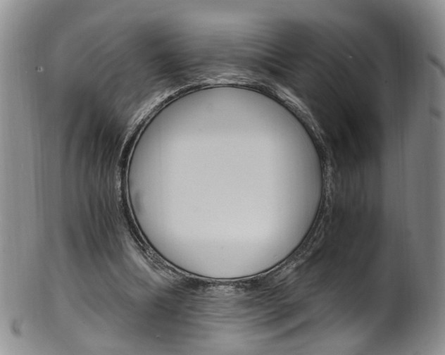 X0000101650298200807100946