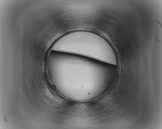 X0000101650299200807100946