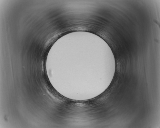 X0000101650302200807100946