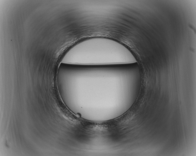 X0000101650303200807100946