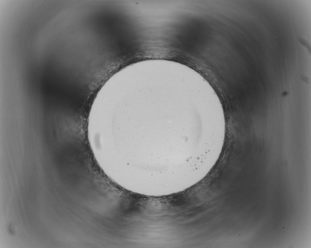 X0000101650305200807100946