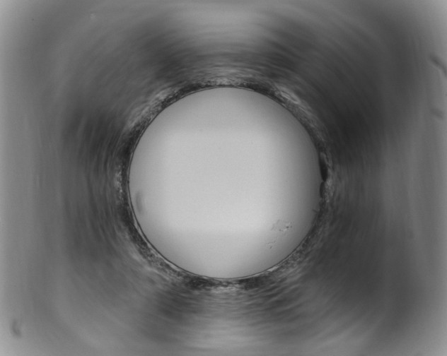 X0000101650306200807100946