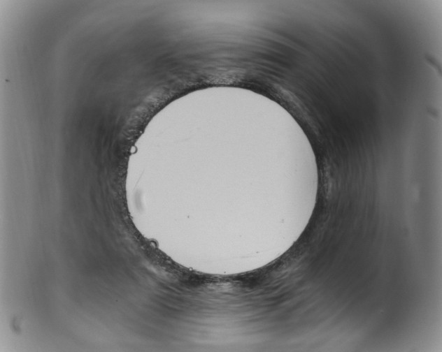 X0000101650307200807100946