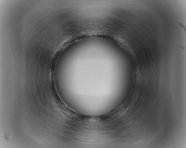 X0000101650308200807100946