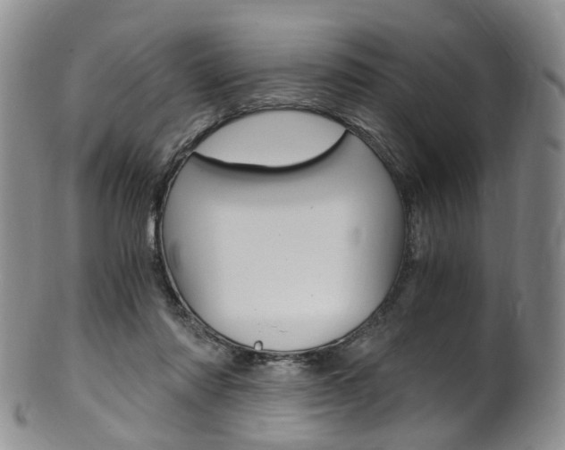 X0000101650310200807100946