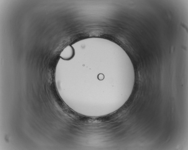 X0000101650311200807100946