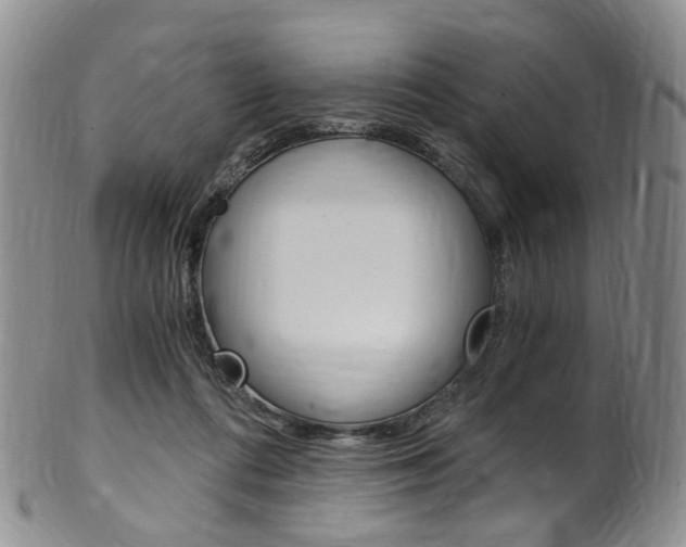 X0000101650312200807100946