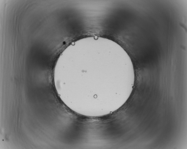 X0000101650313200807100946