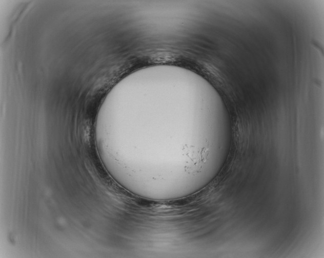X0000101650315200807100946