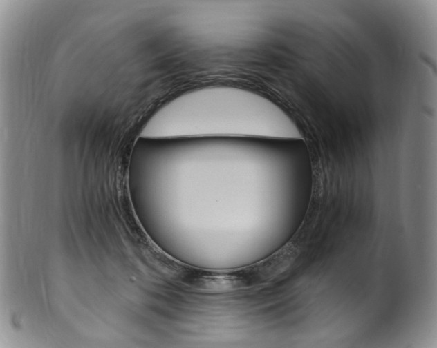 X0000101650316200807100946