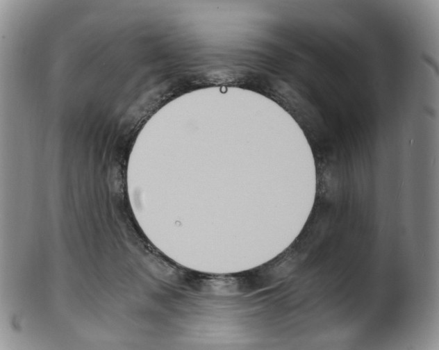 X0000101650317200807100946