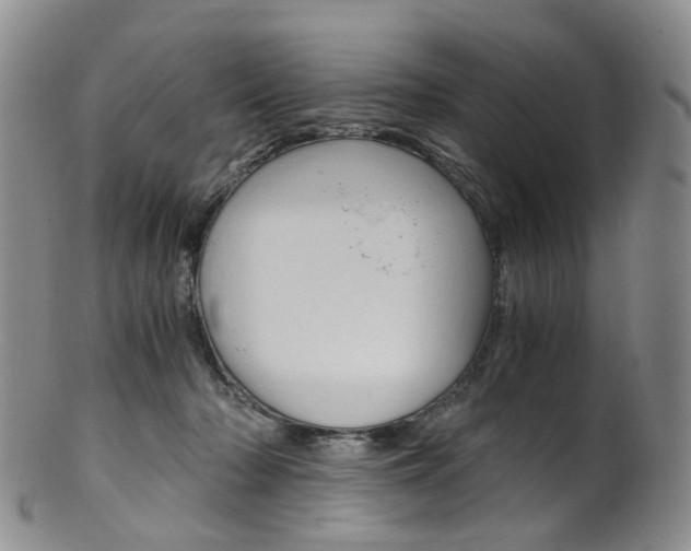 X0000101650318200807100946