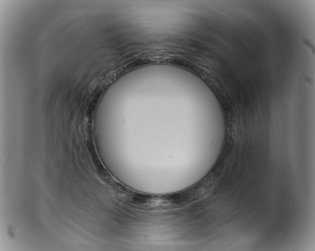 X0000101650319200807100946
