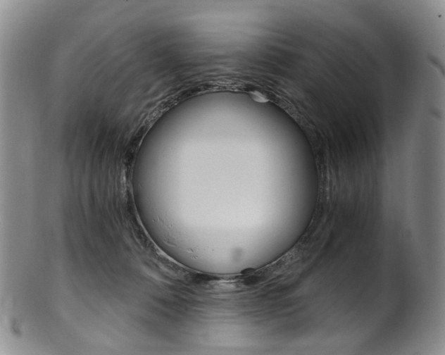 X0000101650320200807100946