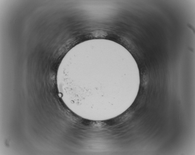 X0000101650321200807100946