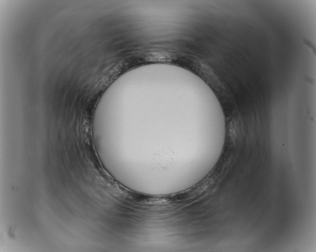 X0000101650322200807100946