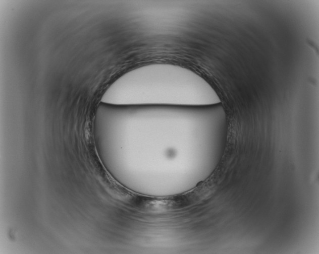 X0000101650323200807100946
