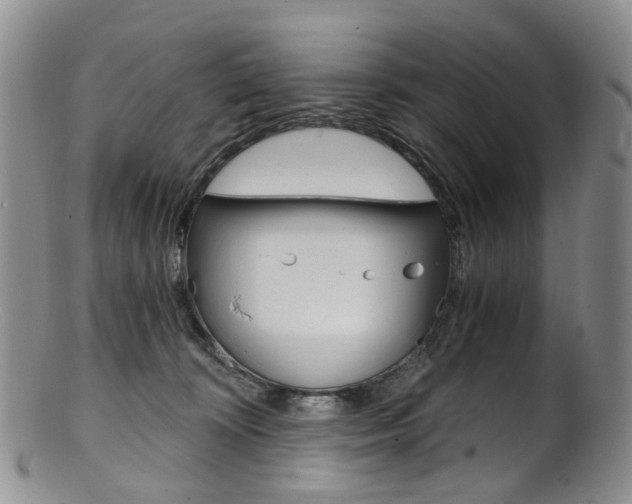 X0000101650324200807100946