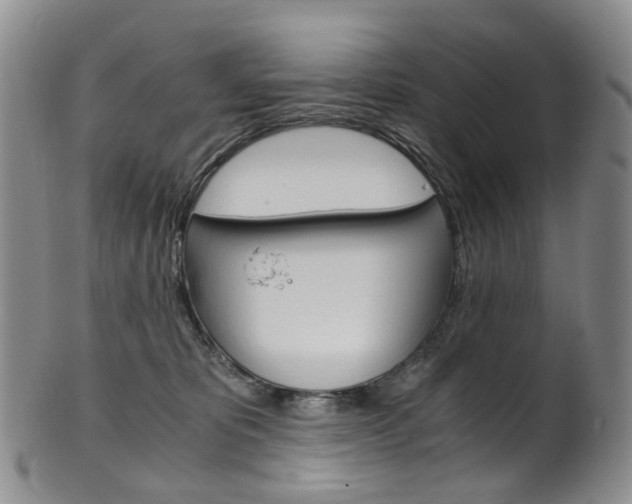 X0000101650325200807100946