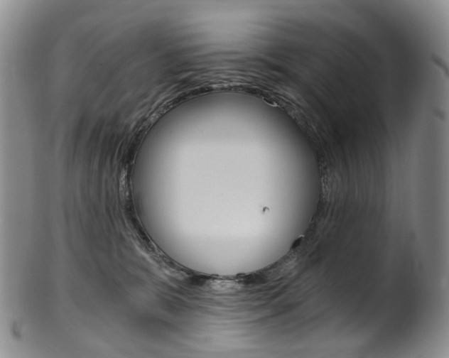 X0000101650327200807100946