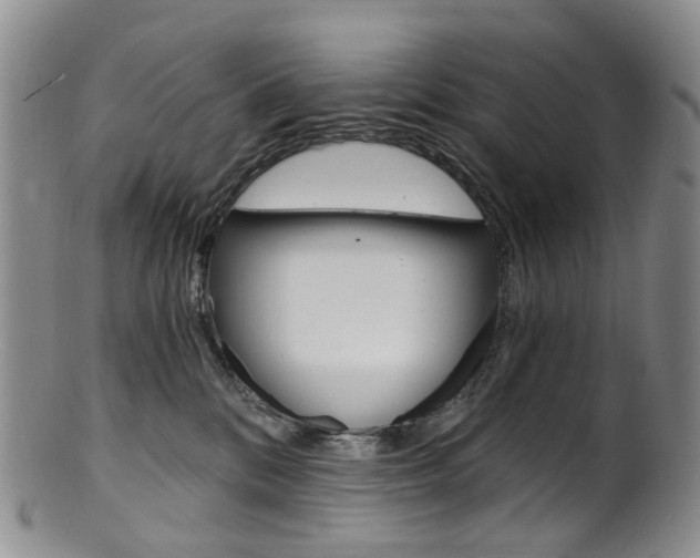 X0000101650328200807100946