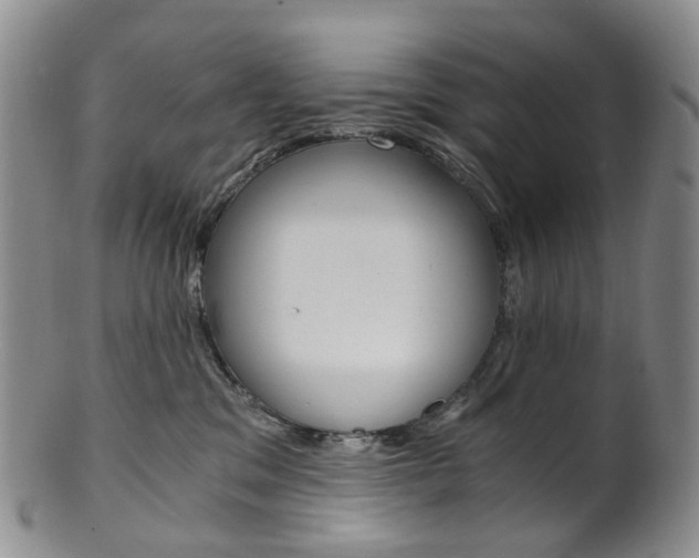 X0000101650329200807100946