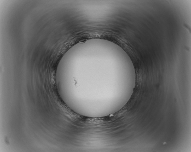 X0000101650331200807100946