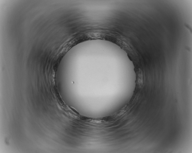 X0000101650332200807100946