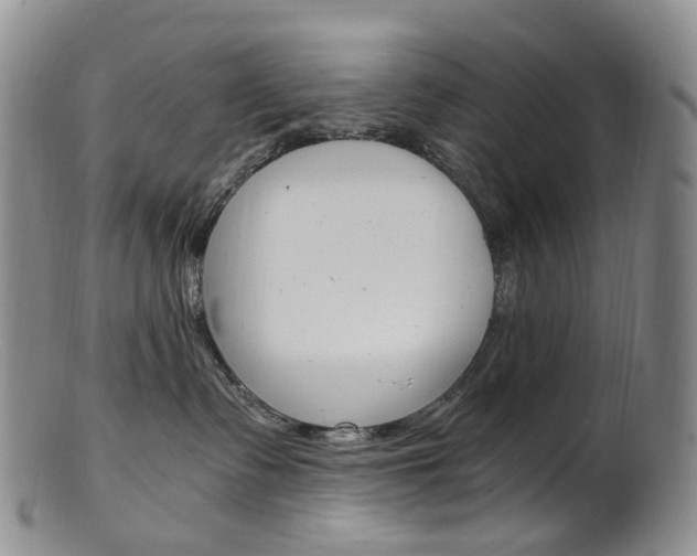 X0000101650335200807100946