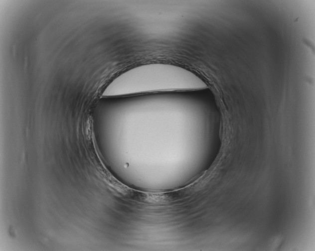 X0000101650336200807100946