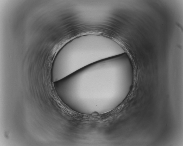 X0000101650337200807100945