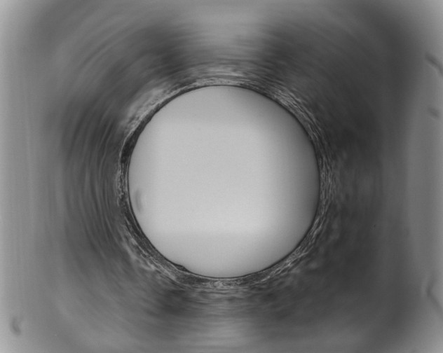 X0000101650338200807100945