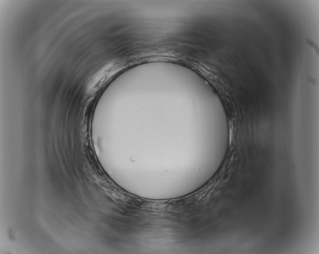 X0000101650339200807100945