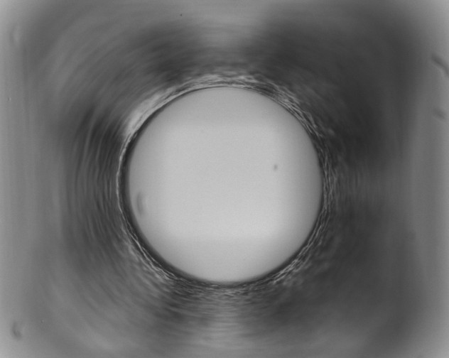X0000101650340200807100945