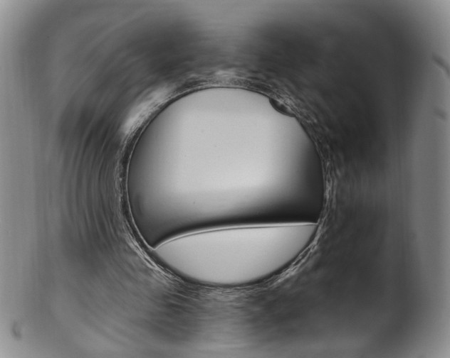 X0000101650341200807100945