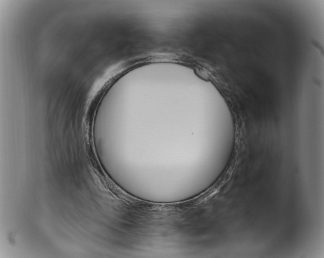 X0000101650343200807100945