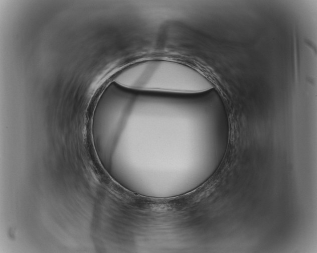 X0000101650344200807100945