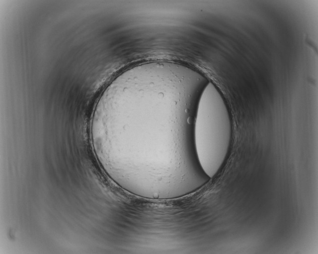 X0000101650347200807100945
