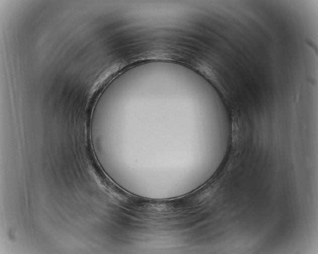 X0000101650349200807100945