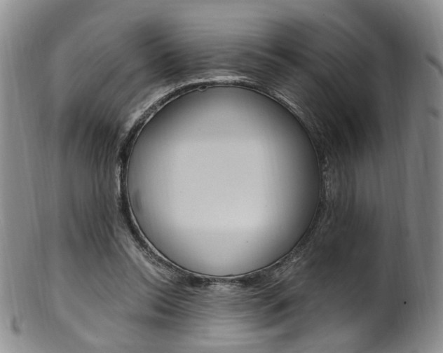 X0000101650350200807100945