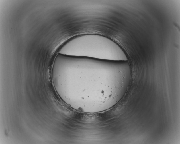 X0000101650351200807100945