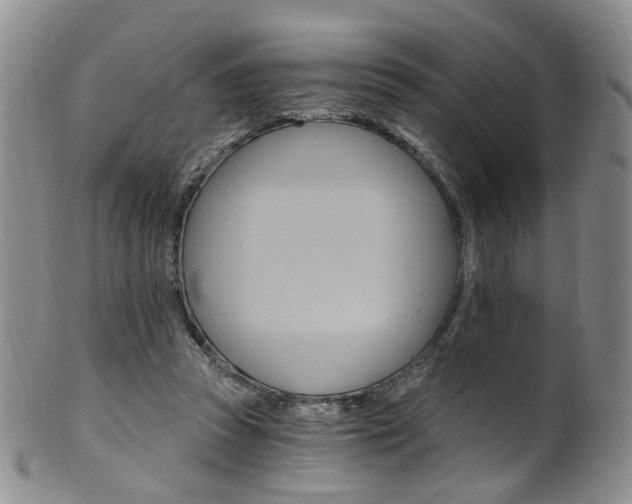X0000101650353200807100945