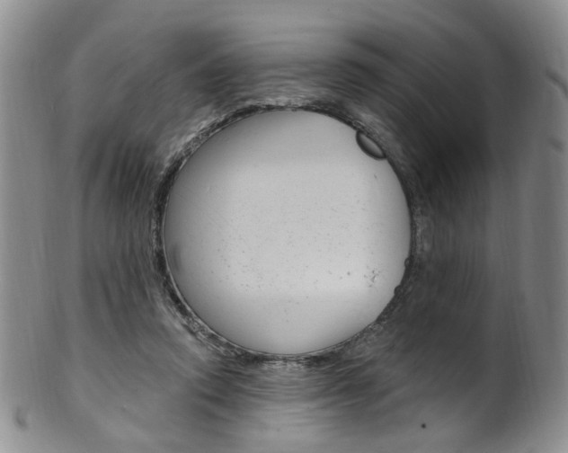 X0000101650354200807100945