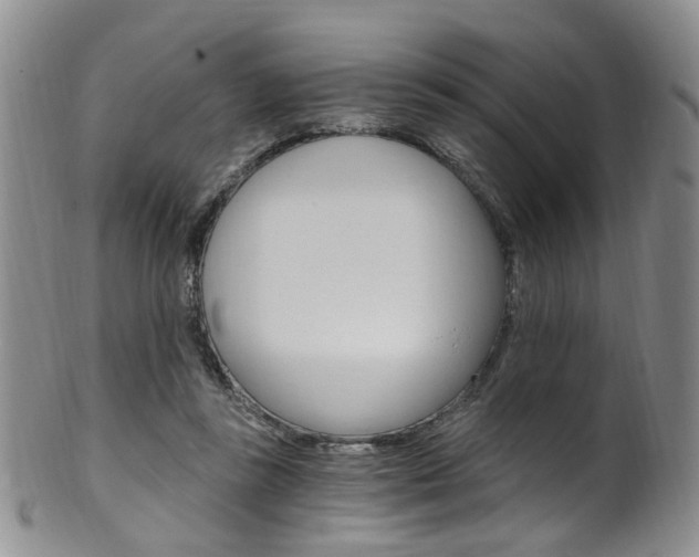 X0000101650355200807100945
