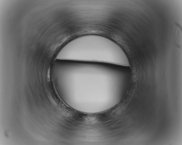 X0000101650358200807100945