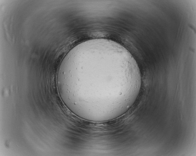 X0000101650359200807100945