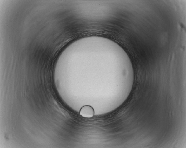 X0000101650360200807100945