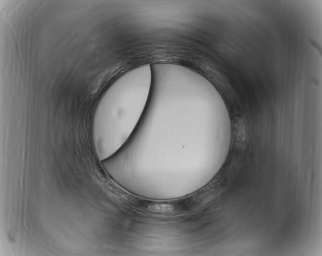 X0000101650361200807100945