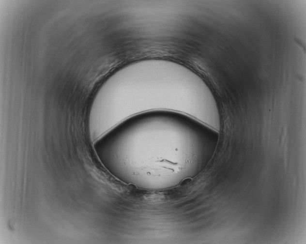 X0000101650362200807100945